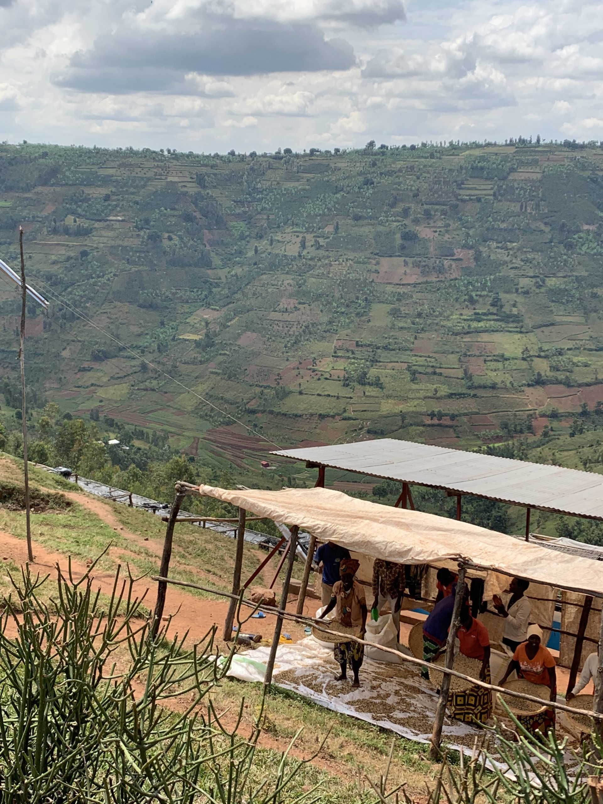 rwanda---taba---coffee-village_52516165882_o